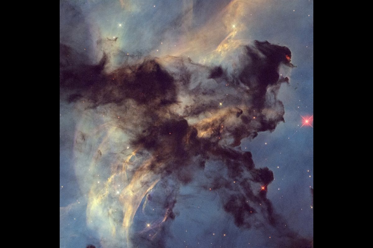 ハッブル宇宙望遠鏡がとらえた、5200光年先にある直径100光年の広大な星形成領域「バラ星雲」の一部。画像の横幅は4光年ほどで、塵の混じった水素ガスの雲が黒く写っている（NASA, ESA, STScI; Image Processing: Joseph DePasquale (STScI)）