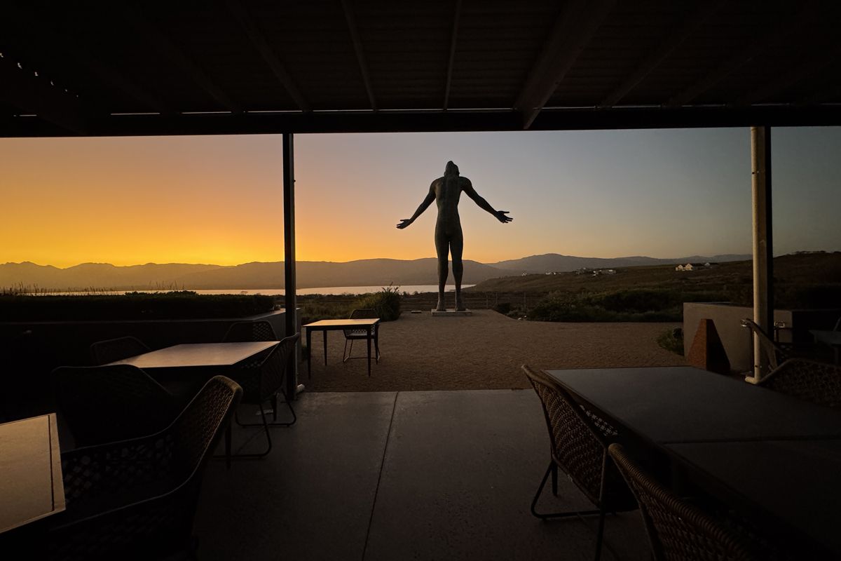 ベンゲラ・コーブのレストランからの眺め。南アの数々のワイナリーでは彫刻や絵画作品などのアートを楽しむこともできる。