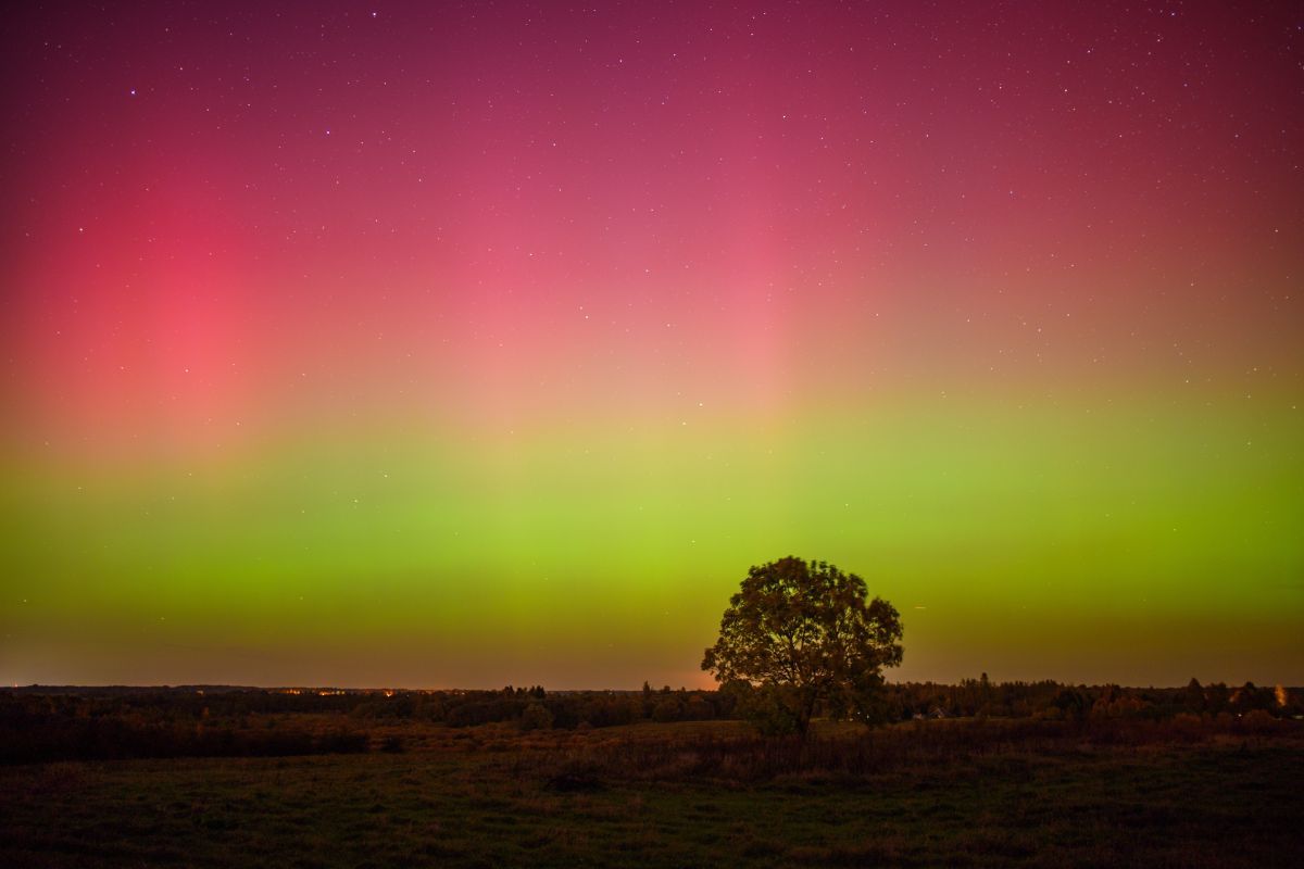 リトアニアで2024年10月11日に撮影されたオーロラ（Shutterstock.com）