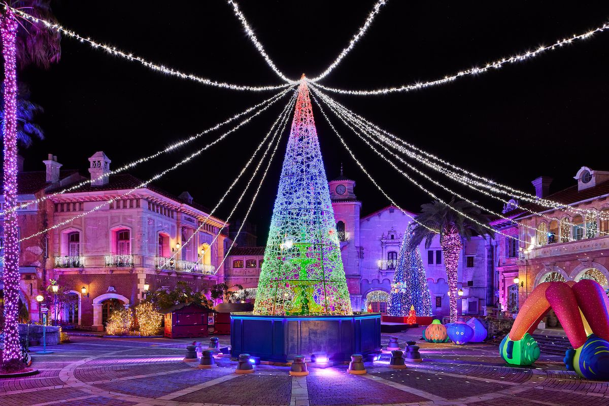 毎年10万人が訪れる和歌山マリーナシティの光のフェスティバル「フェスタ・ルーチェ」。古澤は実行委員会会長を務める。8回の祭典で、累計来場者数は83万人に。