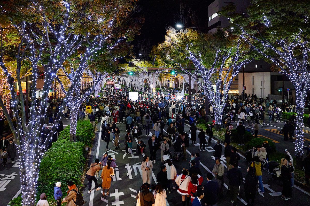 LED100万球を使用して和歌山けやき大通りを光り輝く並木道へと様変わりさせた2024年の「KEYAKI LIGHT PARADE」。