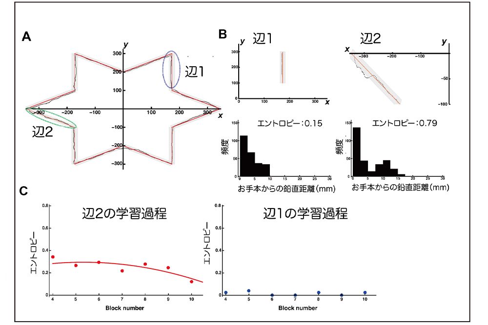 Aの図形の「辺1」と「辺2」とでは線のズレ方が違う（B）。Cは辺2を100回なぞったときの10回ごとのズレの大きさ。
