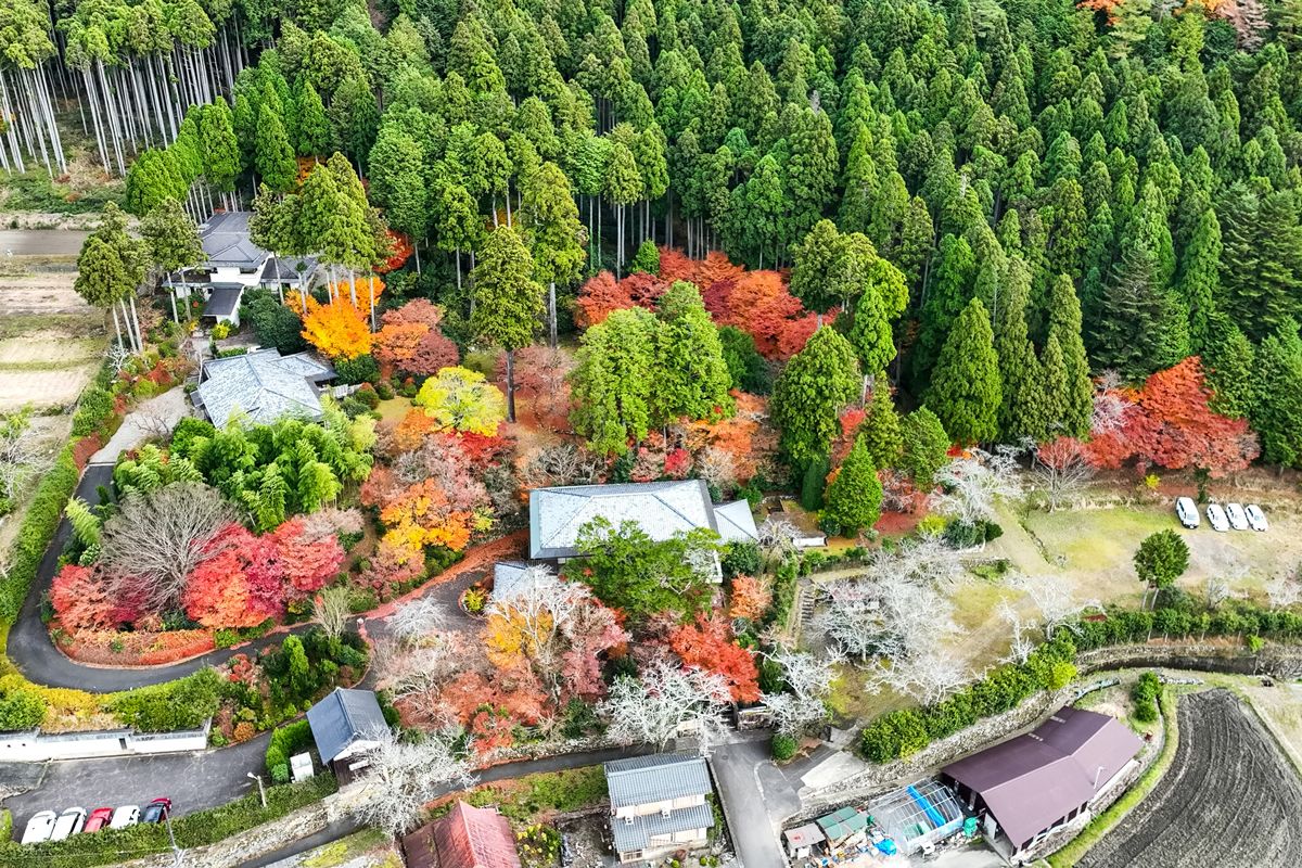約1万㎡の敷地に日本庭園、山居、迎賓館からなる大原山荘の全体像。改装と並行して音楽イベントなども開催している。