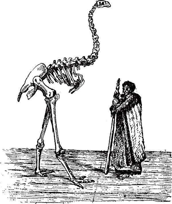 ジャイアントモアと人（Shutterstock.com）