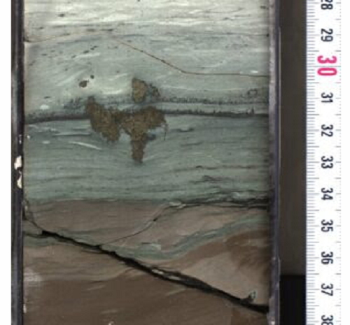 恐竜を絶滅させた小惑星衝突で形成されたクレーターから採取した岩石コアの一部（International Ocean Discovery Program）