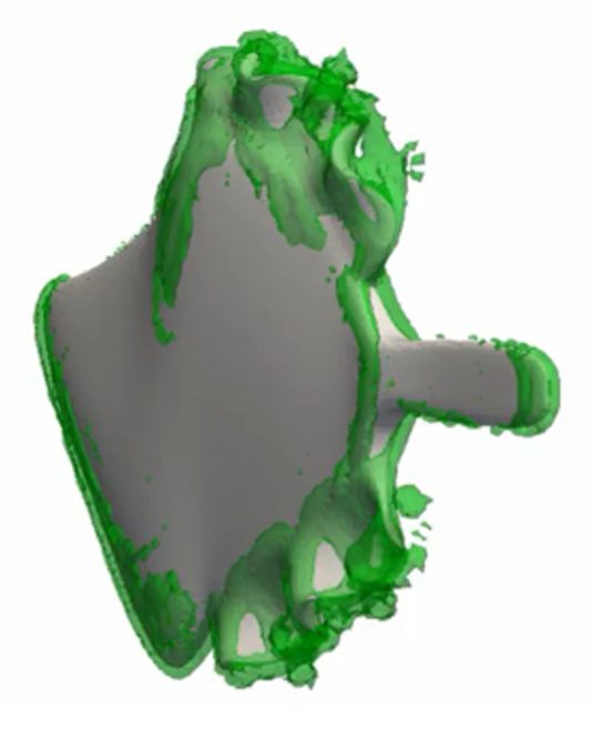 魚の周囲の渦の様子を表したシミュレーション画像。