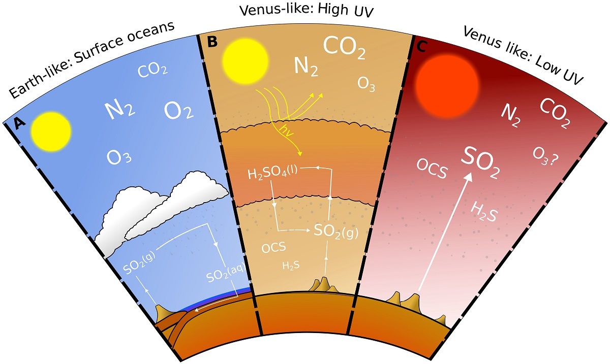 惑星大気中の硫黄サイクルを描いた解説図。（A）地球型惑星は大気中から降雨で二酸化硫黄SO2が排除される（B）金星型惑星で主星のUV放射が強い（太陽）場合は下層大気がSO2に富む（C）金星型惑星で主星のUV放射が弱い（M型赤色矮星）場合のみSO2が上層大気に存在できる（Sean Jordan et al. Sci.Adv.11,eadp8105(2025)）