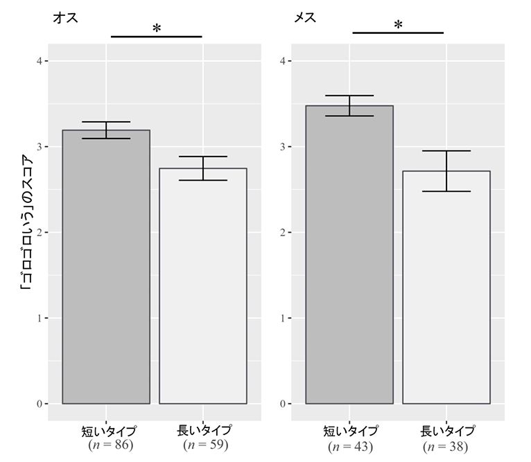「ゴロゴロいう」のスコアとアンドロゲン受容体遺伝⼦のタイプ。