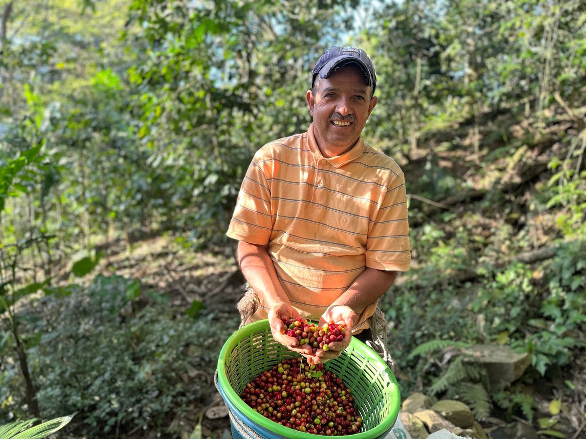 グアテマラのコーヒー生産者（c）Conservation International/photo by Vanessa Bauza