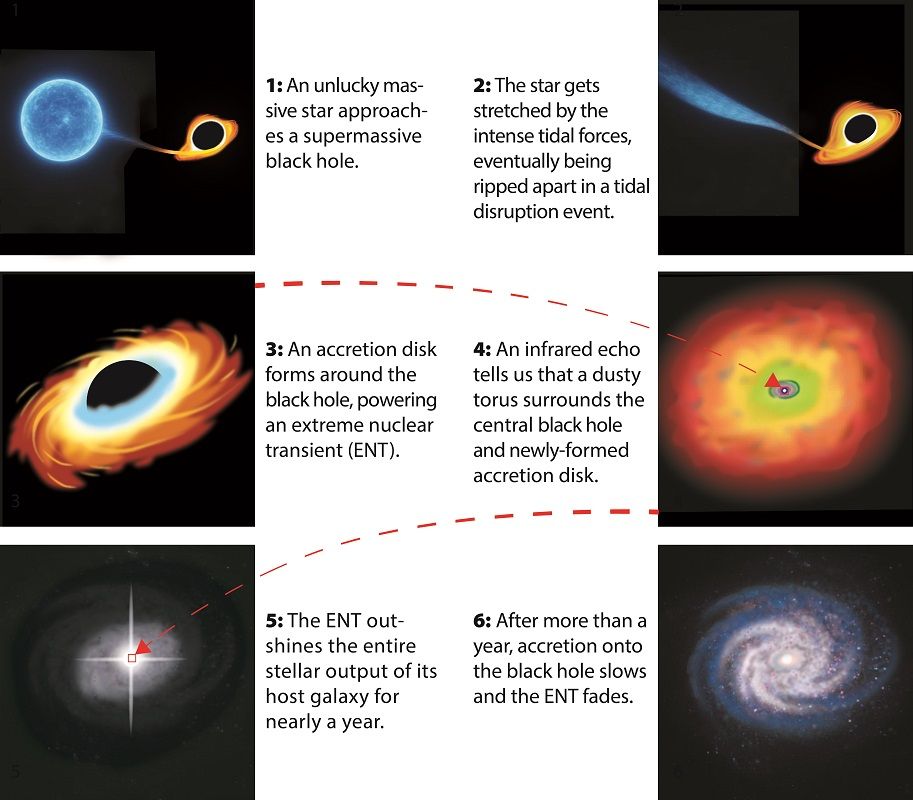 ENT（Extreme Nuclear Transient）現象の発生から終了までを描いたイラスト（University of Hawaii by Nancy Hulbirt）