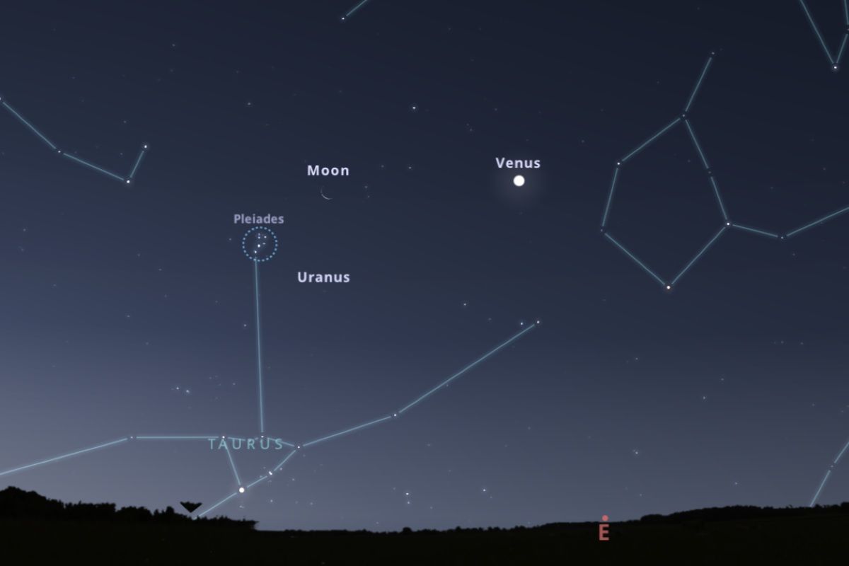 2025年6月23日（東京：午前3時半ごろ）の東の空（Stellarium）