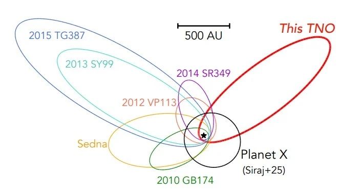 極端に広い軌道を持つ海王星以遠天体（TNO）の軌道を描いたイラスト。新発見の2017 OF201（This TNO）の軌道（赤）は全体的傾向から大きく外れている。未知の惑星プラネット・ナイン（Planet X）の最も可能性の高い軌道が黒で表示されている（Cheng et al. 2025, Fig.2）
