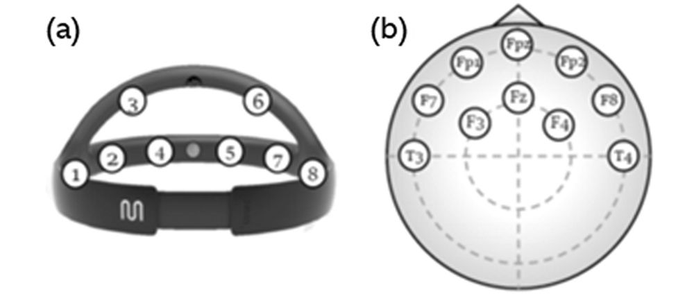 このような装置を装着して前頭部の脳波を読み取る。Discover Educationに掲載の論文『Identifying english proficiency by frontal theta activity during english learning』より。