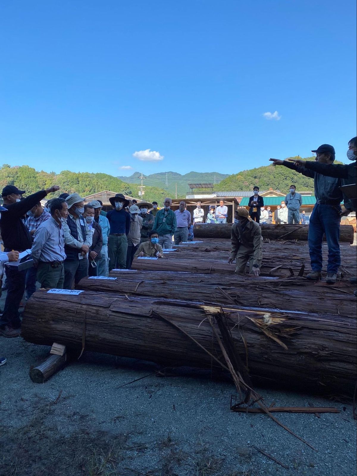 奈良県 吉野での木材 競りのシーン