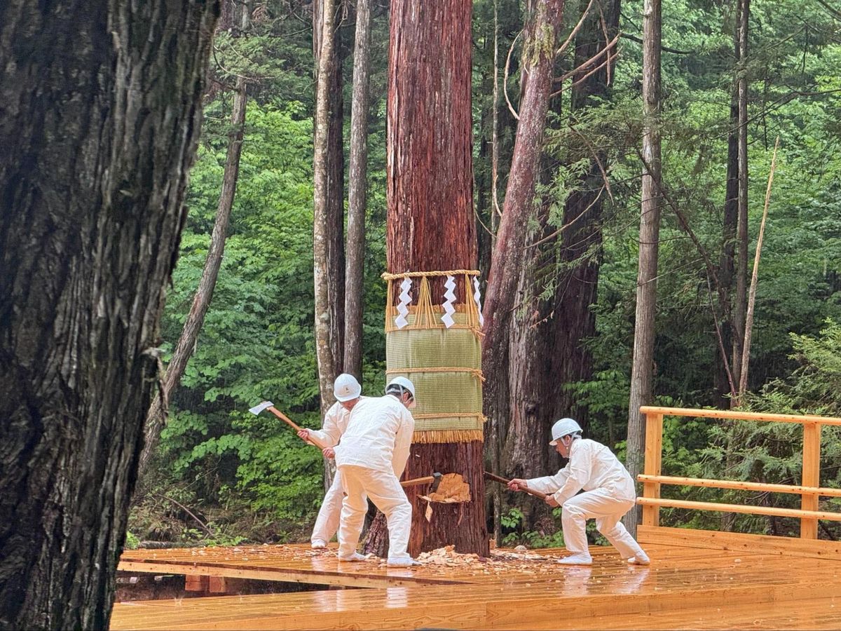 伊勢神宮の遷宮の木を切り倒している。新たな御神木が、使命を授かる瞬間だ