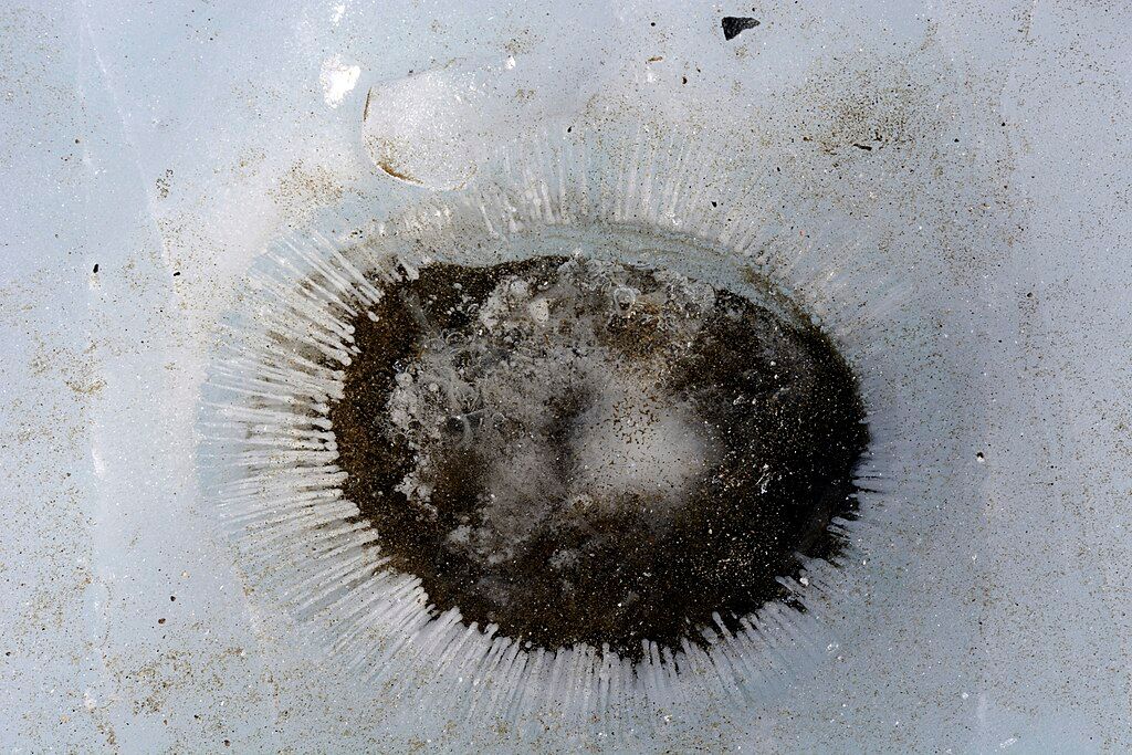 南極大陸のテイラー氷河の表面にあるクリオコナイトホール（Peter Rejcek/USAP）