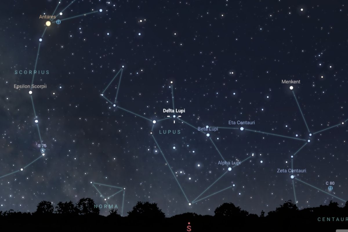 2025年6月28日（東京：午後8時30分ごろ）の南の低空、おおかみ座の見え方（Stellarium）