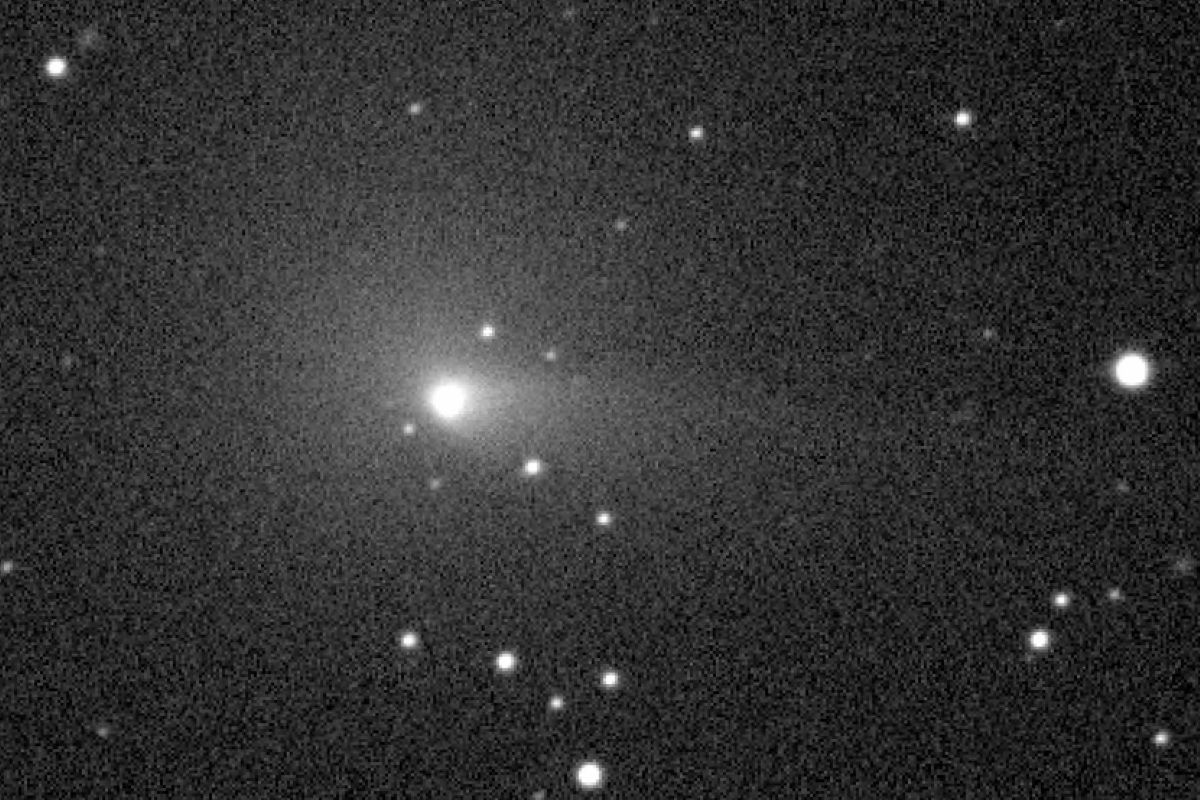 米カリフォルニア州ツビッキー掃天観測所(ZTF)が2021年6月8日にとらえたポン・ウィンネッケ彗星(7P/Pons-Winnecke)の姿(NASA/JPL-Caltech/ZTF, Public domain, via Wikimedia Commons)