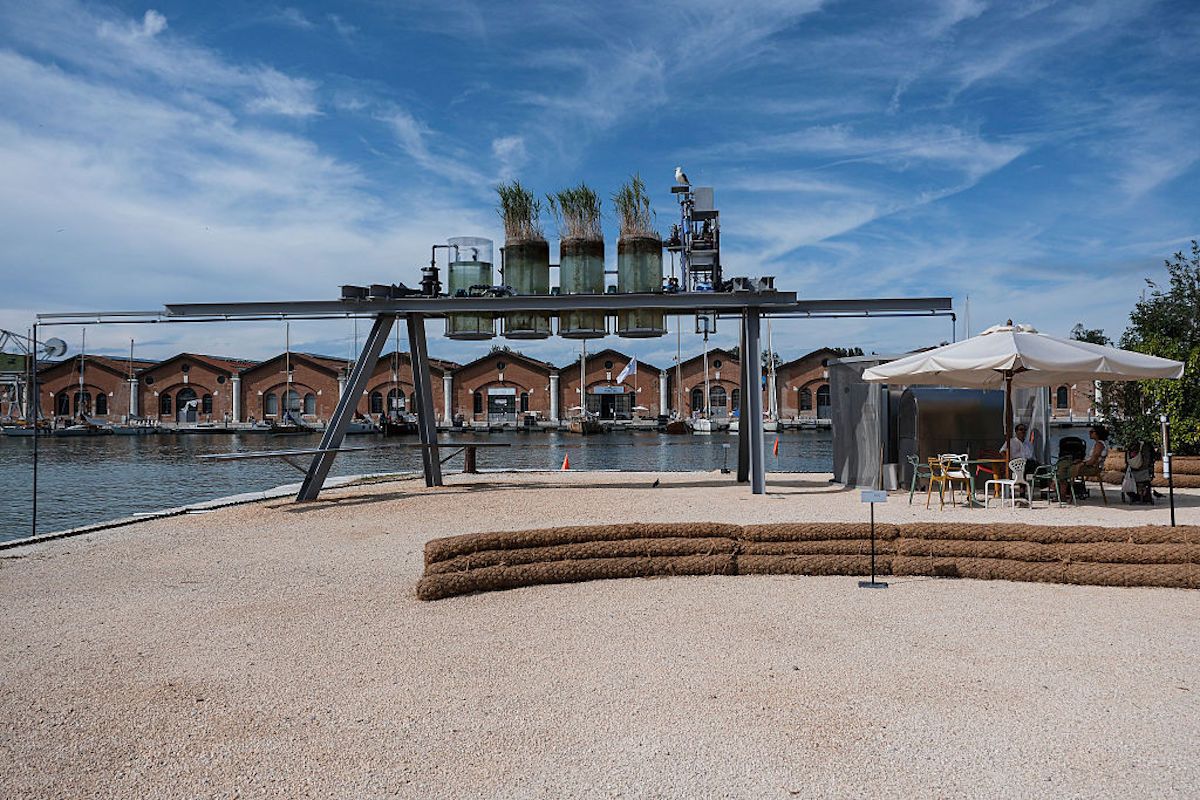 （Photo by Giuseppe Cottini/Getty Images）