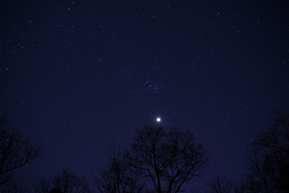 暑い日が続くが太陽が「一番遠く小さく」なる日、月と星座の共演も楽しい今週の夜空 | Forbes JAPAN 公式サイト（フォーブス ジャパン）