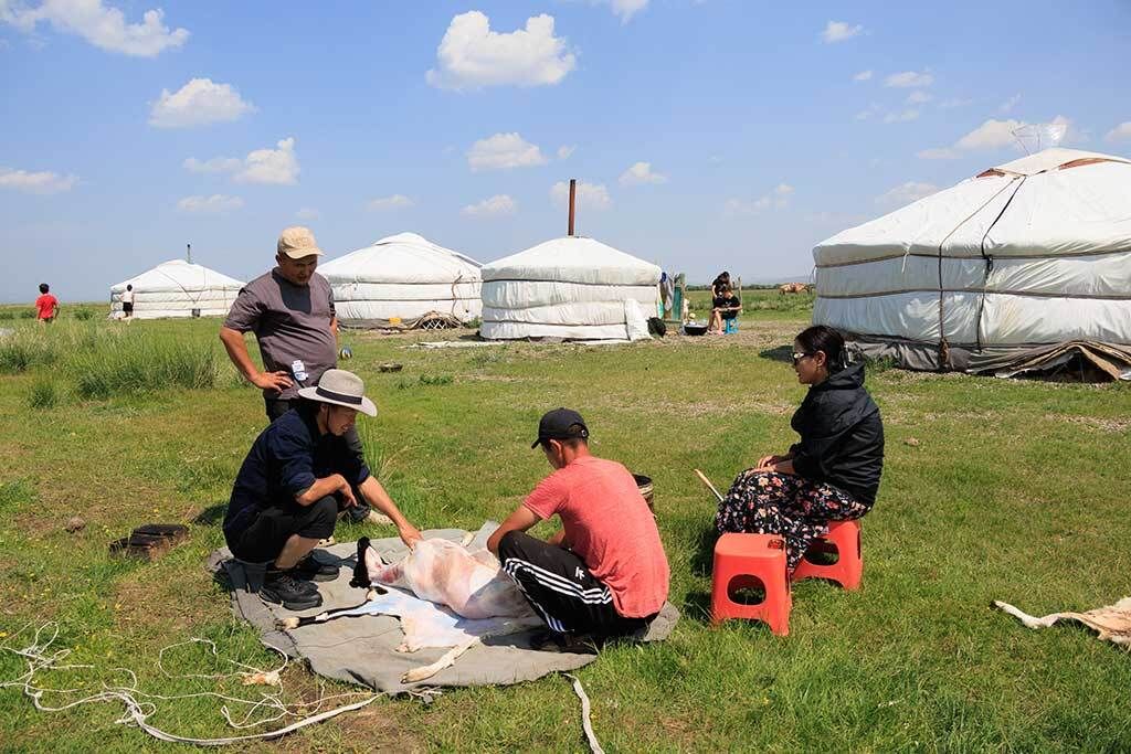 羊の食肉処理後、一切血をこぼすことはない。まるで服を脱がせるかのように皮がはがされていく