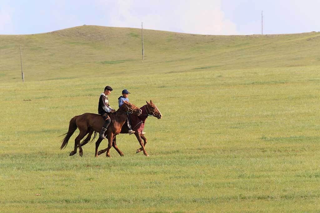 モンゴルの遊牧民は夏の間、川に近い場所にゲルを張る。羊や馬たちも周辺に群れている