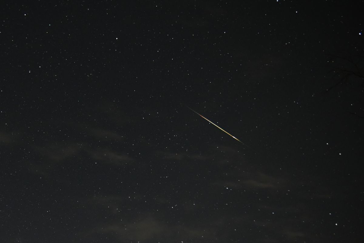 みずがめ座δ南流星群の流星。オーストラリア・シドニーにて2022年7月31日撮影（Shutterstock.com）