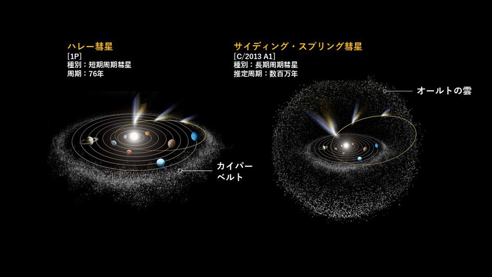 彗星の故郷は主に2つ。カイパーベルトから飛来するものは短期周期彗星、オールトの雲から来るものは長期周期彗星と呼ばれる(C)NASA/Y.Suzuki