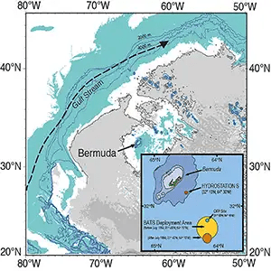 著者提供（Wonderfulengineering.com）
