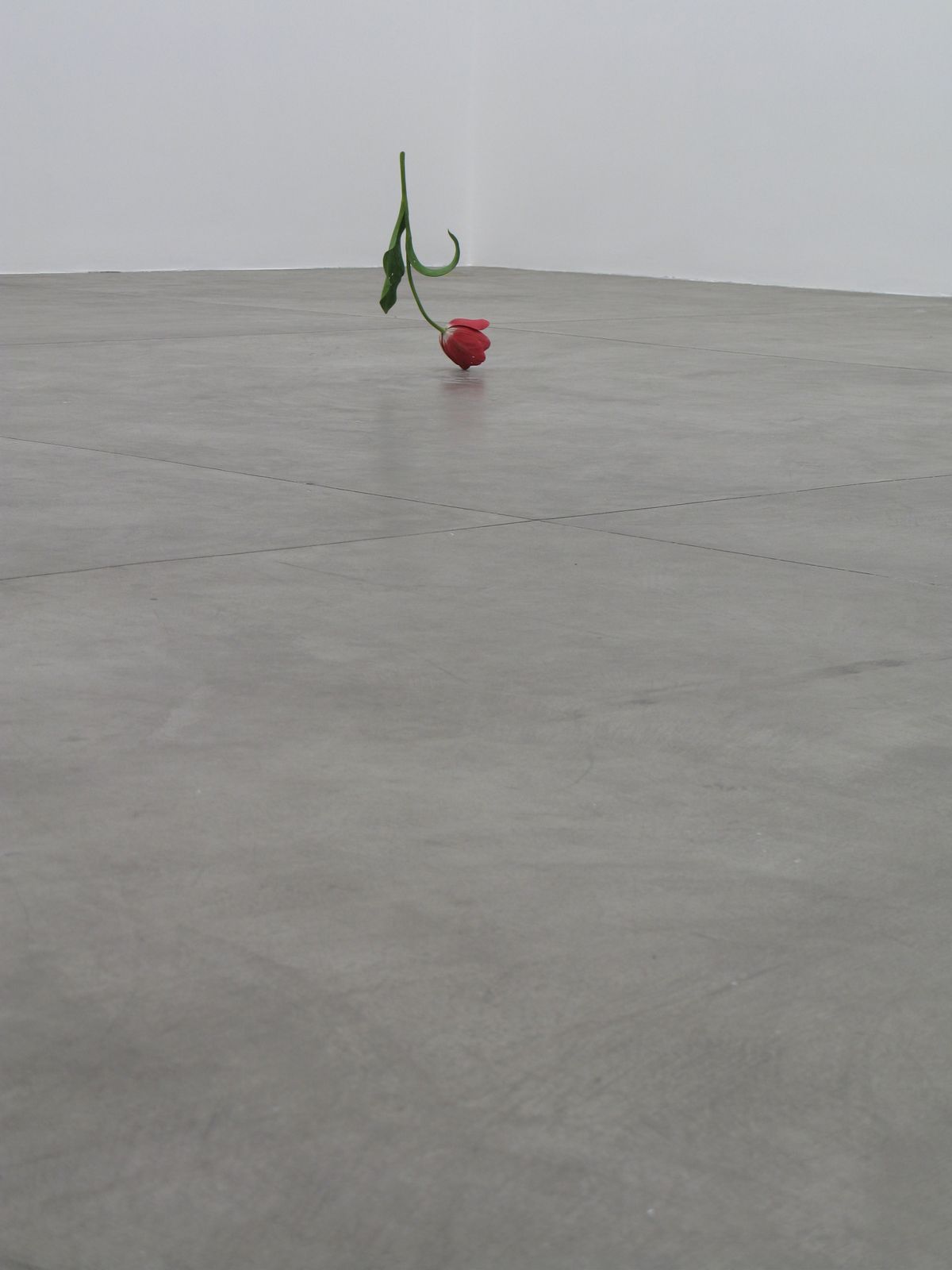須田悦弘 Yoshihiro Suda『チューリップ Tulip　2008』(c) Yoshihiro Suda / Courtesy of Gallery Koyanagi