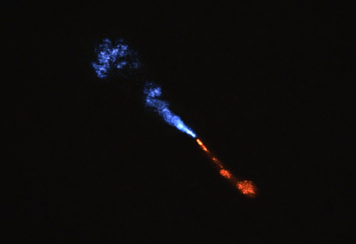 原始星HOPS-315から噴出する一酸化ケイ素（SiO）のジェットを、ALMA（アタカマ大型ミリ波サブミリ波干渉計）が捉えた画像。青色のジェットは地球の方向に、赤色のジェットは地球から遠ざかる方向にそれぞれ噴出している（ALMA(ESO/NAOJ/NRAO)/M. McClure et al.）