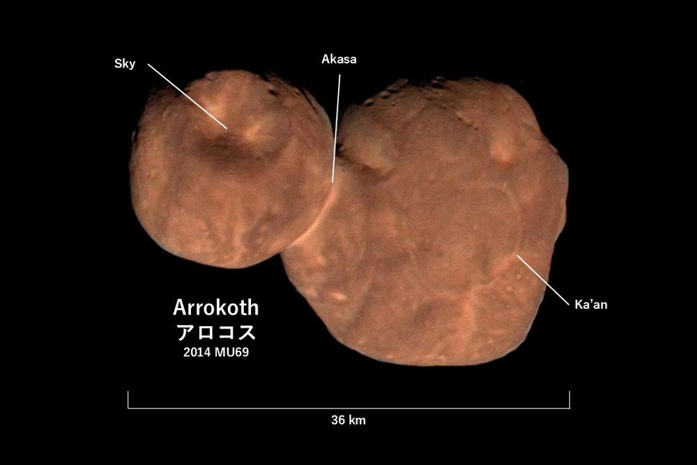 「アロコス」とはネイティブアメリカンの言語で「空」を意味し、各エリアにつけられたSky（英語）、Akasa（ベンガル語）、Ka’an（マヤ語）もすべて「空」を意味する。太陽からの平均距離は44.6au、太陽を298年で1回公転する(c)NASA/JHUAPL/SwRI/Roman