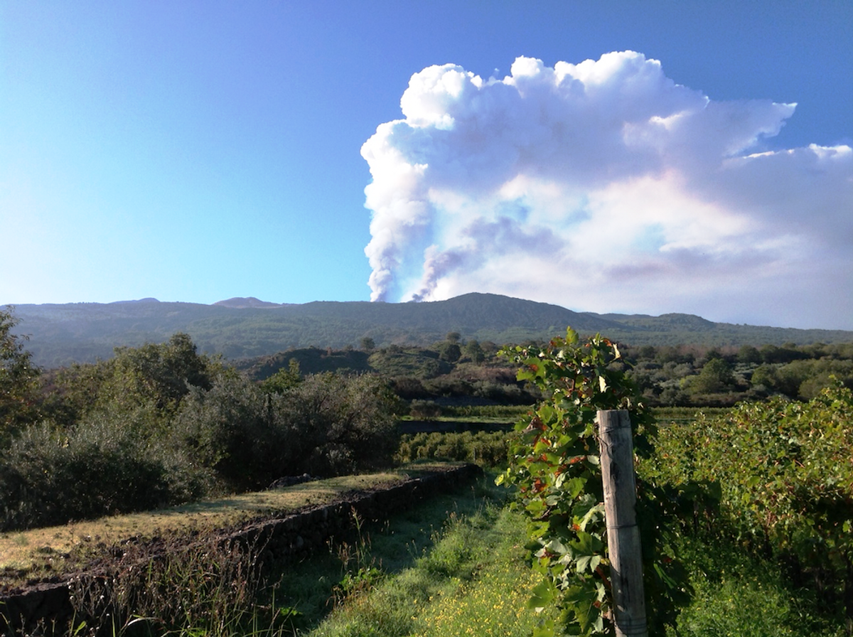 PLANETAのエトナ山麓ワイナリー