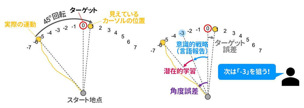 参加者の言語報告と運動誤差に基づいて潜在学習の量を推定。