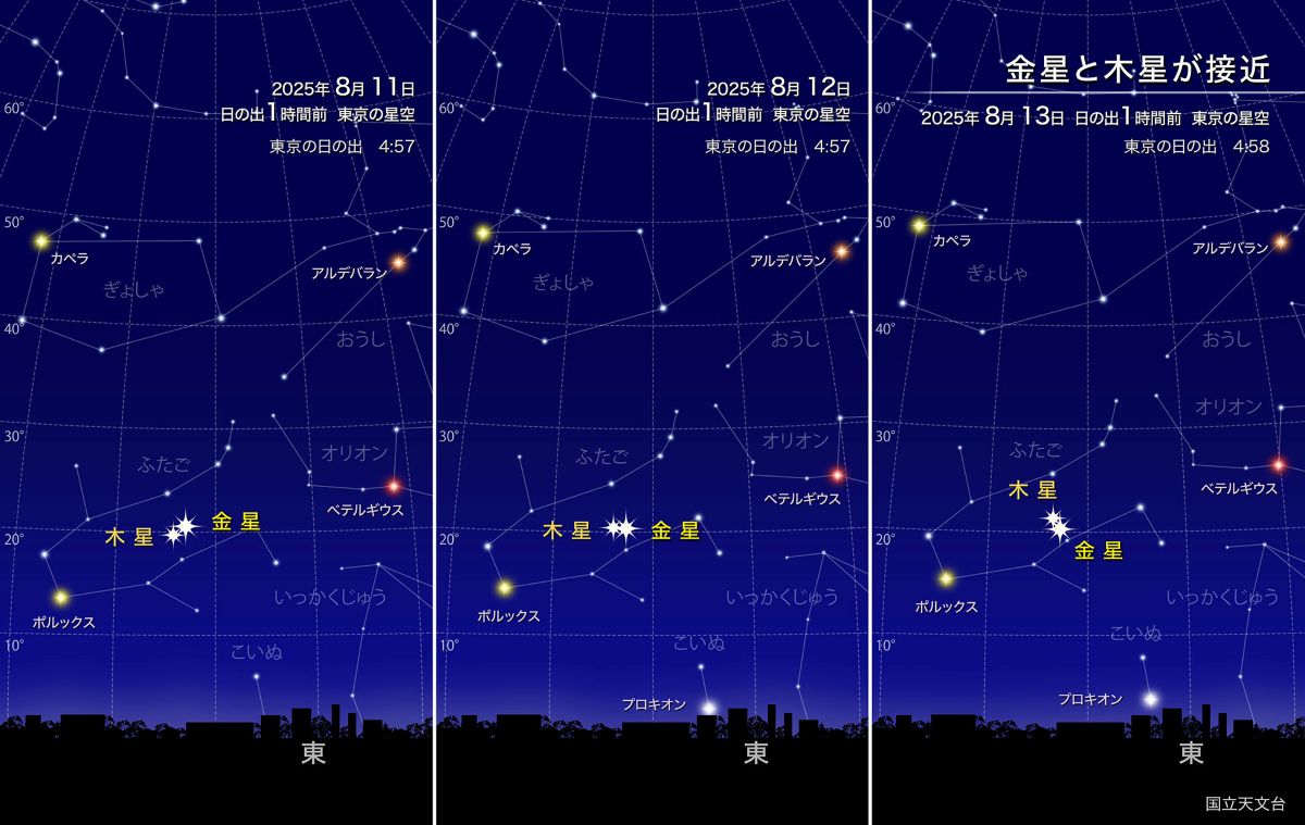 ペルセウス座流星群が極大を迎え、金星と木星が大接近する今週の夜空
