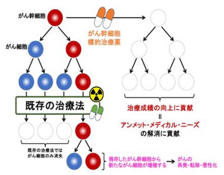 がん幹細胞を叩かなければ、一部が生き延びてしまう。