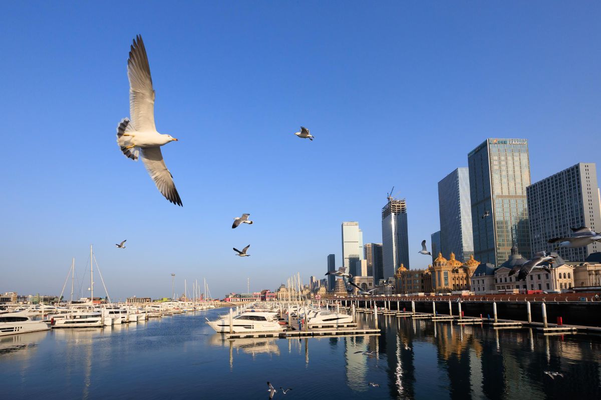 かつて日本との間に多くの航路があった大連港は、ヨットハーバーもあるモダンなベイサイドマリーナに生まれ変わっている