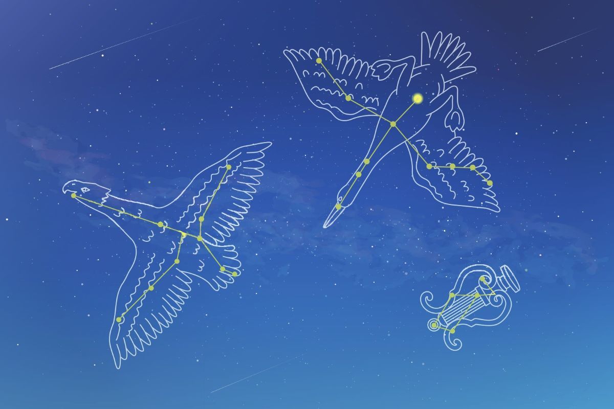 「夏の大三角」を形づくる、はくちょう座、わし座、こと座（Getty Images）