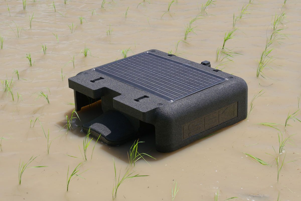 アイガモロボの実機。アイガモを田んぼに放ち、雑草を食べさせることで除草剤を使わない有機農法に由来する。