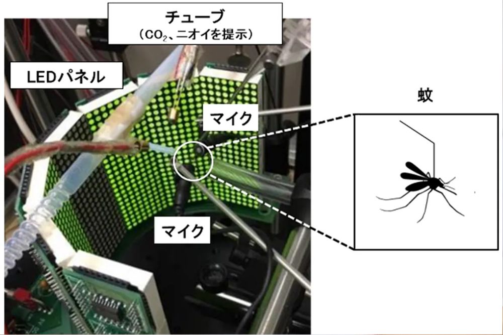 蚊専用の仮想空間装置。