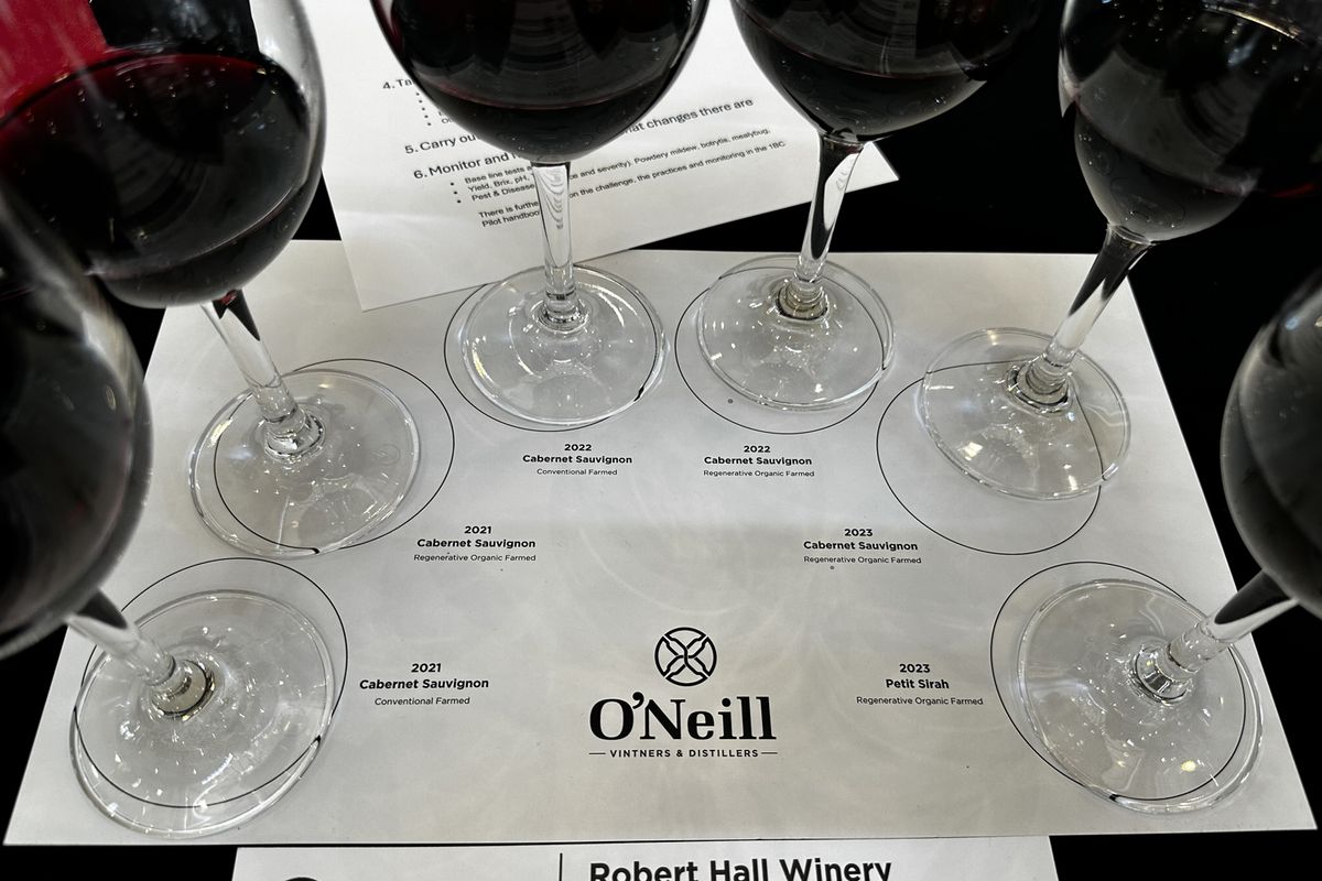 再生型農業と慣行農法で栽培したブドウで造られたワインの比較試飲