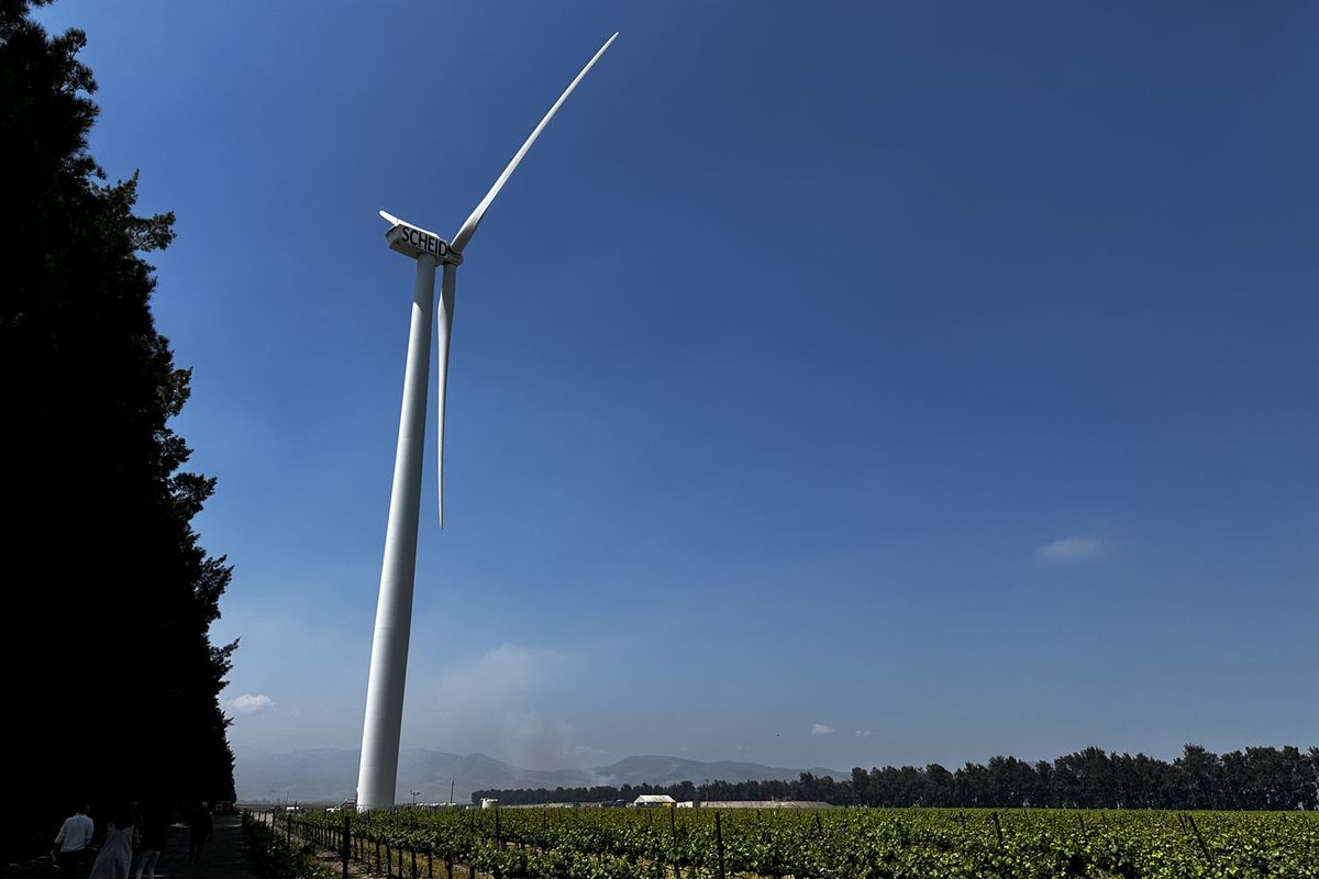 シャイド・ヴィンヤーズの風力発電のタービン（Photo by Richard Morley）