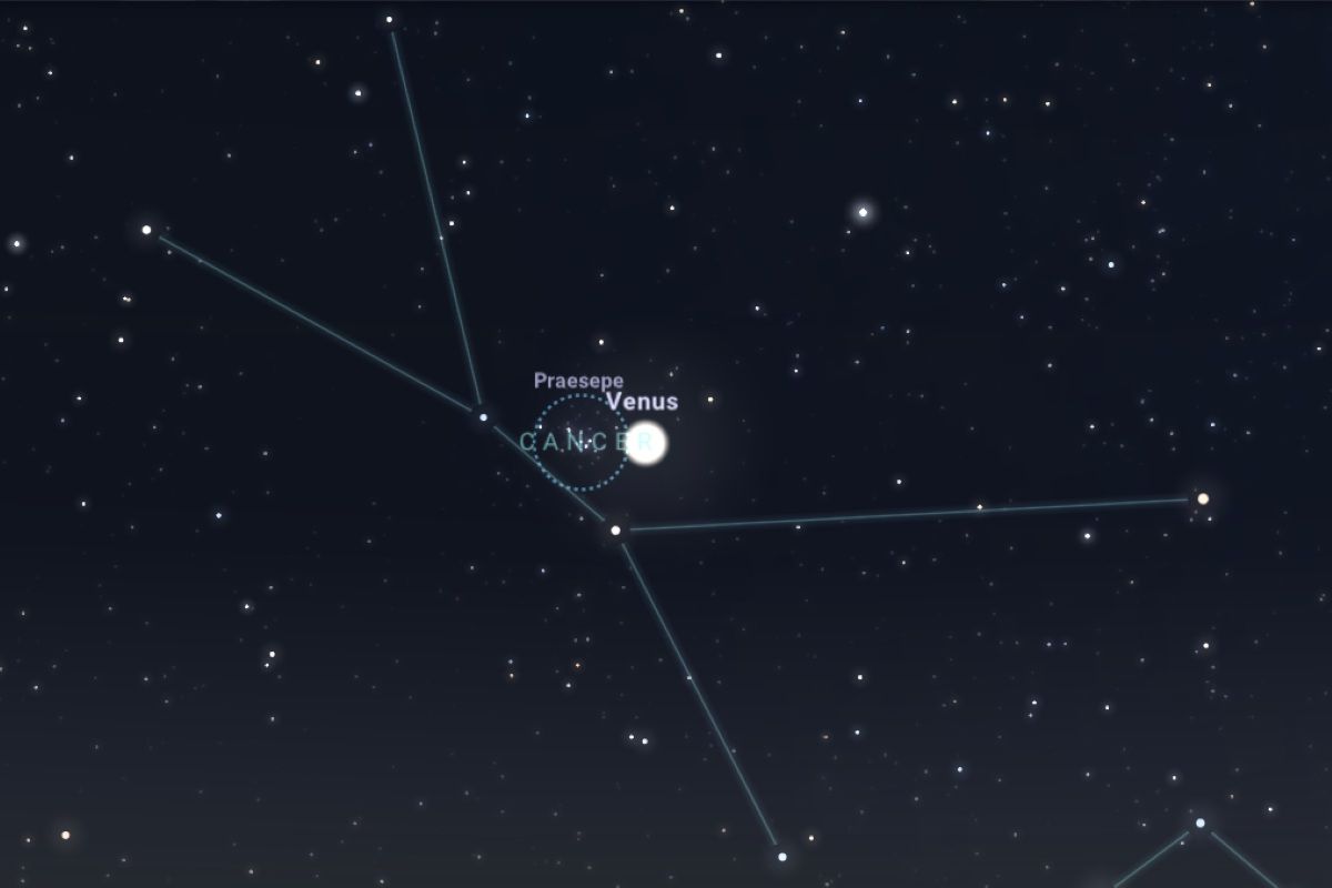 2025年9月1日（東京：午前3時45分ごろ）の東の空、金星とプレセペ星団の位置関係（Stellarium）