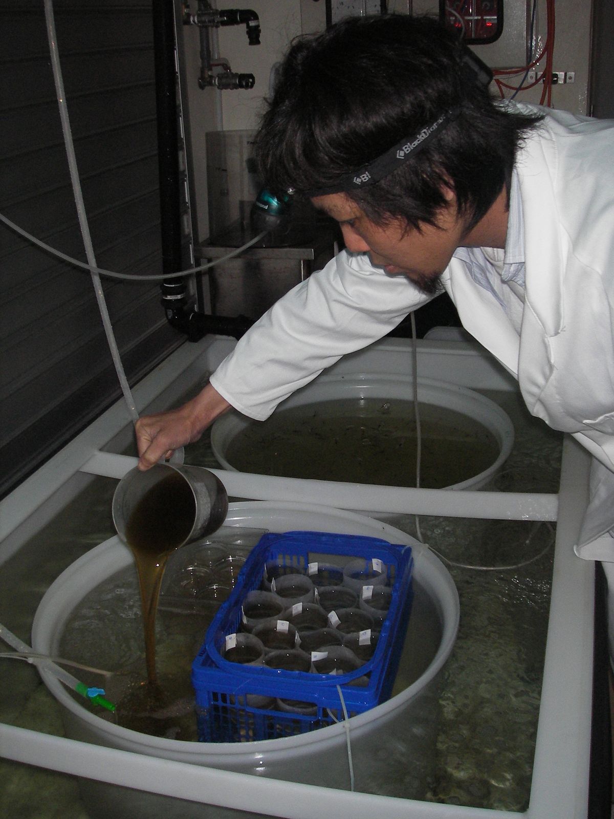 タスマニア大学時代