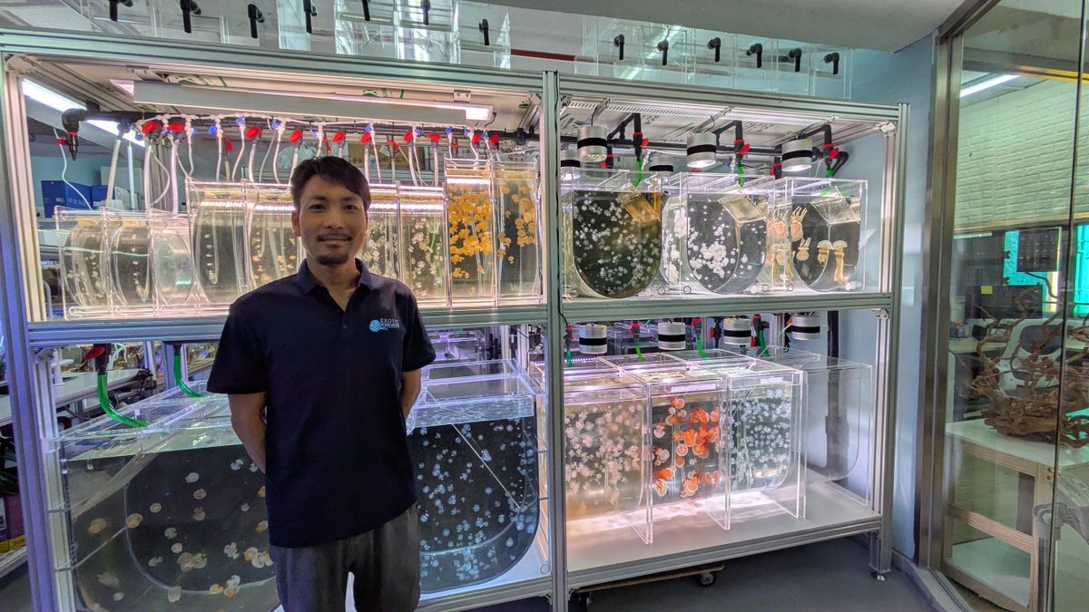 香港在住の日本人起業家・吉田俊広氏