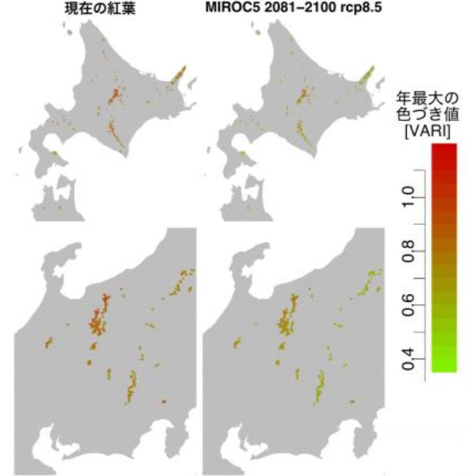 1981年から2000年までの色づき（左）と2081年から2100年までの色づきの予想（右）。
