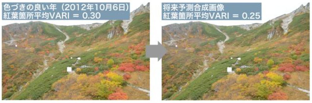 中央アルプス極楽平のVARI値が0.30と色づきがよかった2012年の写真（左）と、VARI値が0.25に減少した将来予測の合成画像（右）。