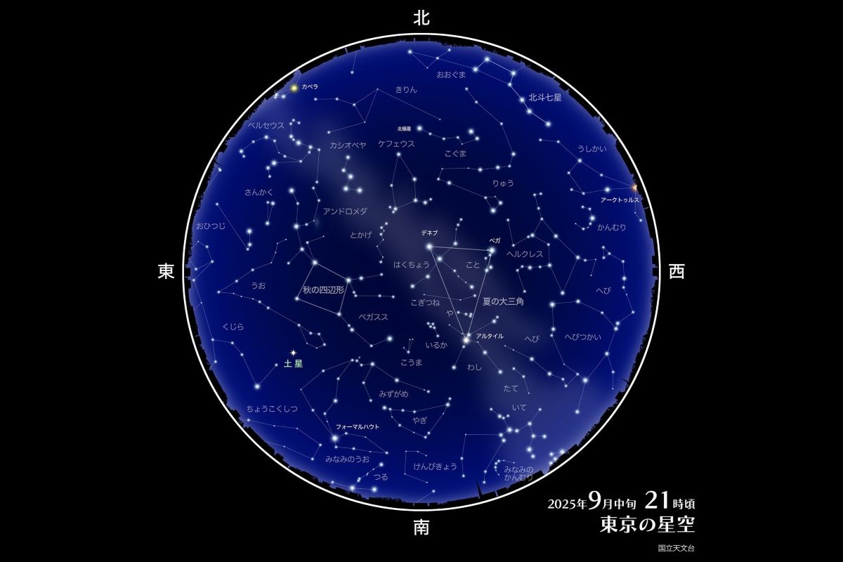 新発見の流星群が9月14日頃に極大、NASA研究者発表 連休は流れ星に期待