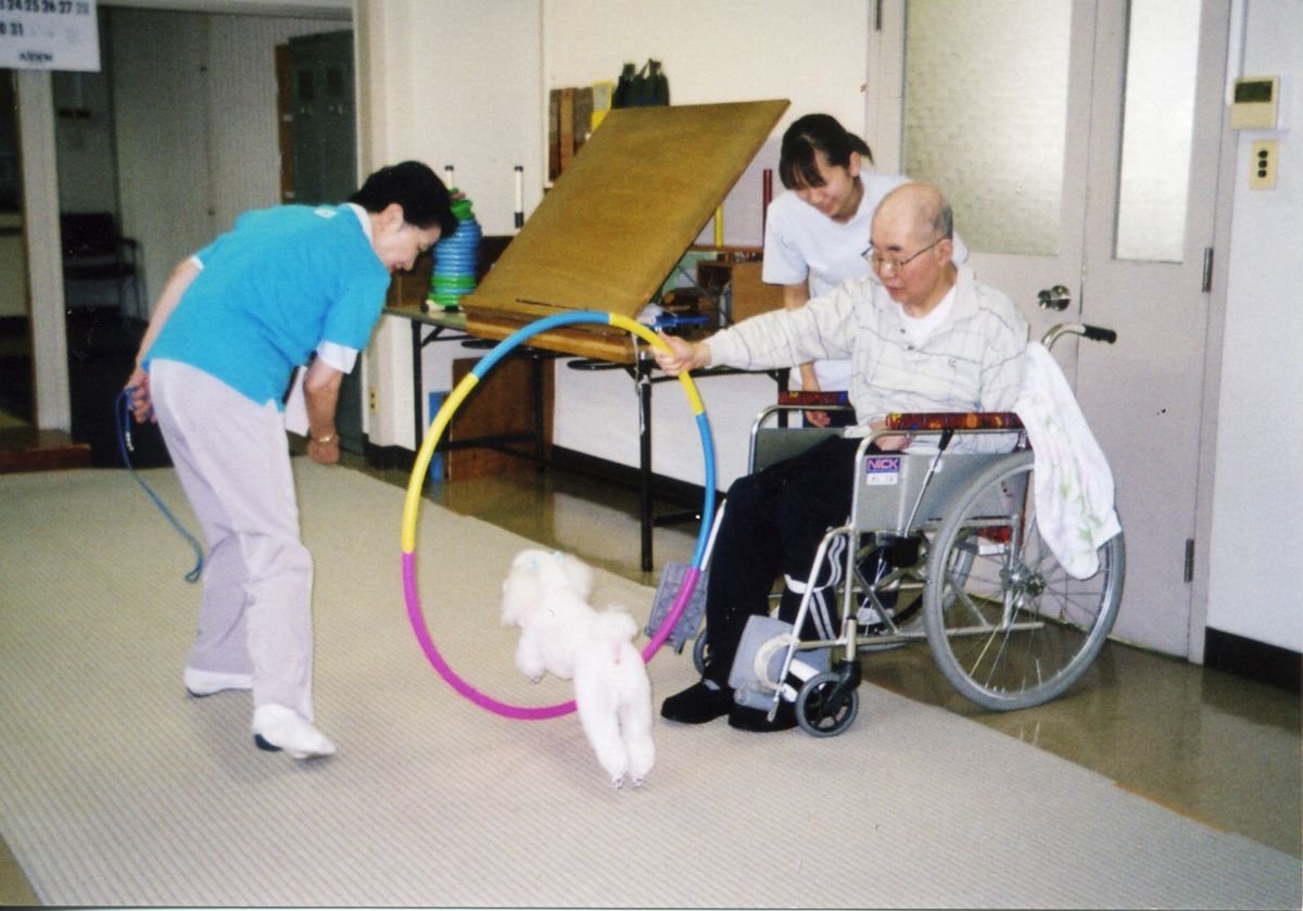 東京都清瀬市の信愛報恩会信愛病院では、適性の認められたセラピードッグとの作業療法プログラムを先行的に開始している（写真は2010年頃の様子）