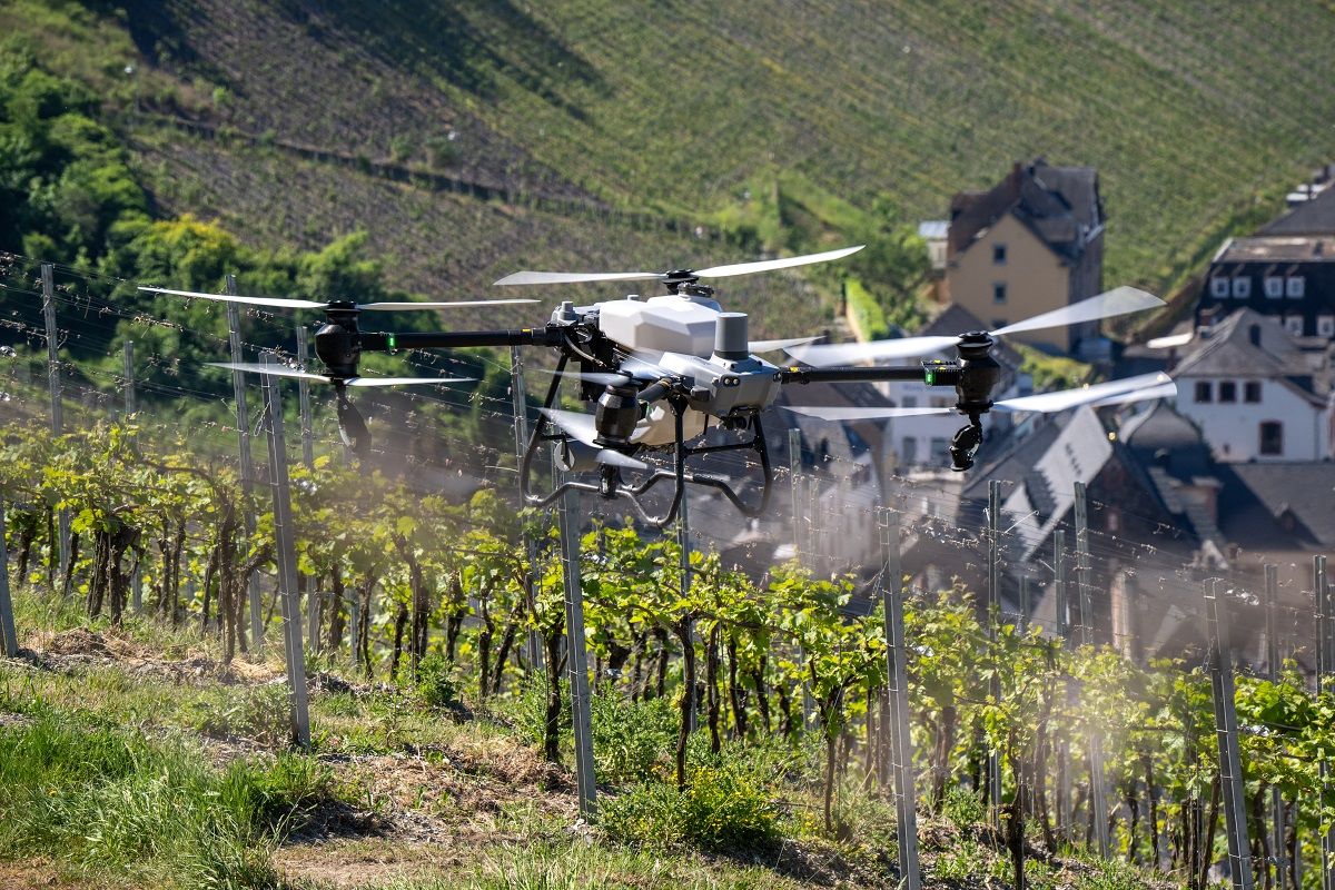 ブドウ畑の上空で散布作業を行う中国DJI 製ドローン（ドイツ、Getty Images）